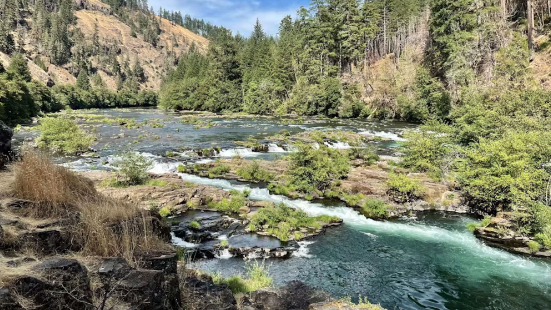 USA Nordwesten Oregon Umpqua National Forest