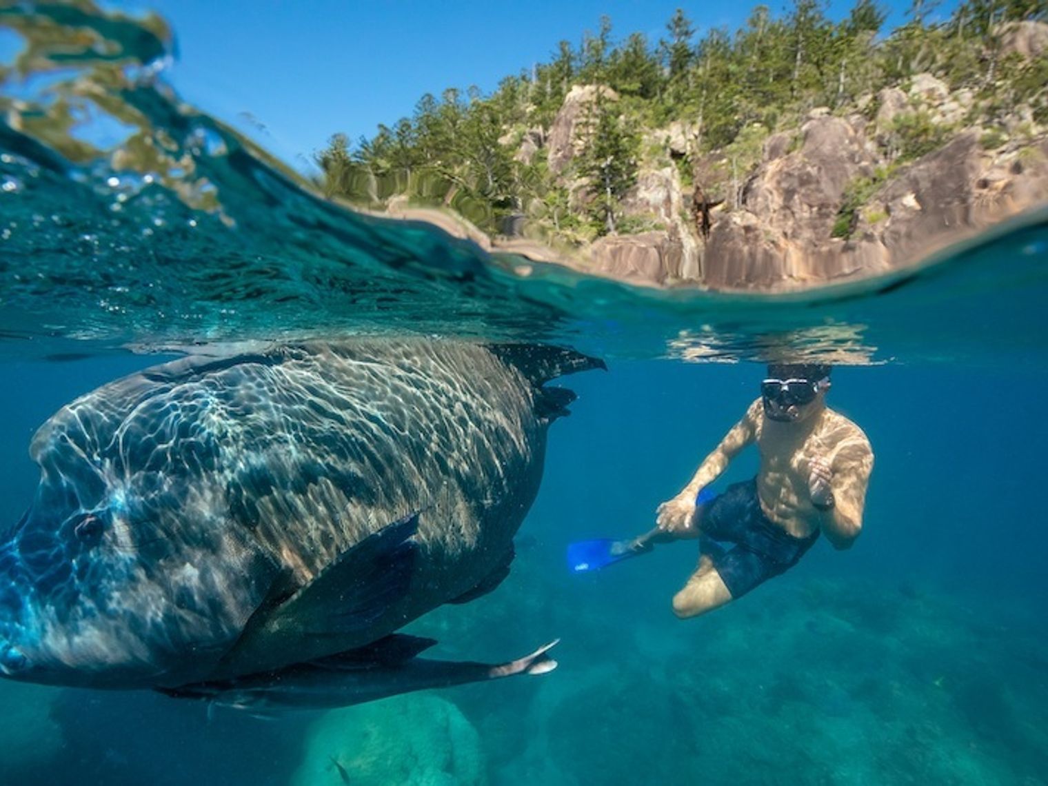 Australien Queensland Whitsundays Schnorcheln