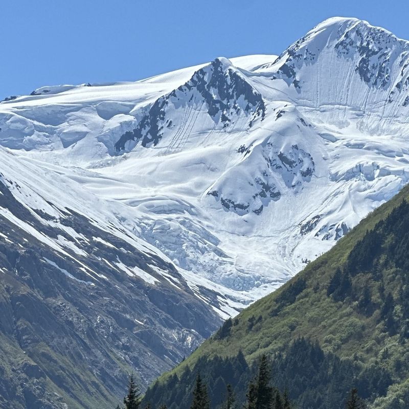 Een gletsjer in Alaska tegen een blauwe lucht. Op de voorgrond is een groene, met bomen begroeide berg te zien.