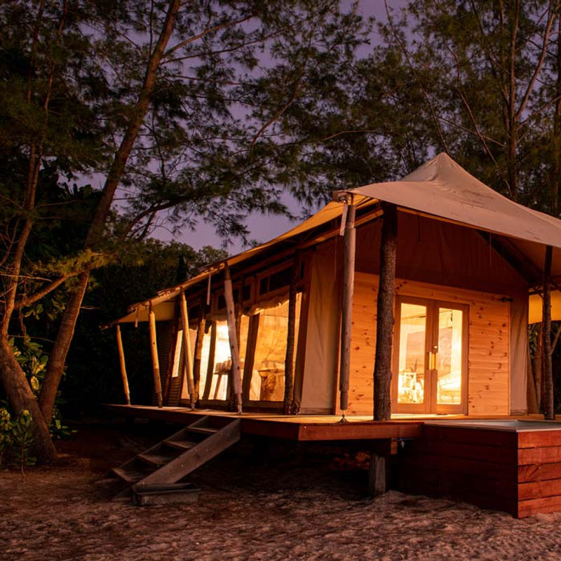 Een houten hut genesteld in het bos