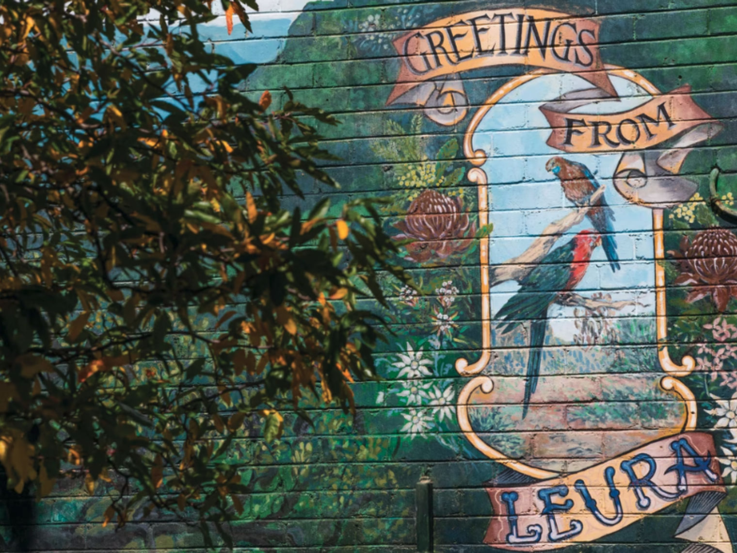 Australien New South Wales Blue Mountains Leura