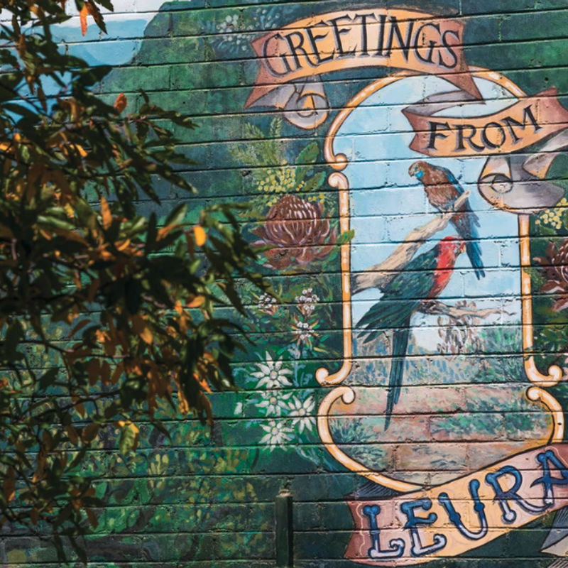 Wandgemälde mit Papageien von der Stadt leura in Australien