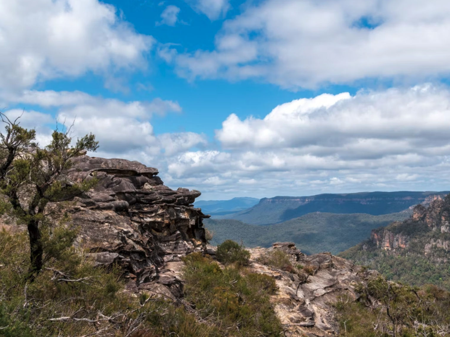 Blick auf die Blue Mountains in New South Wales, Australien