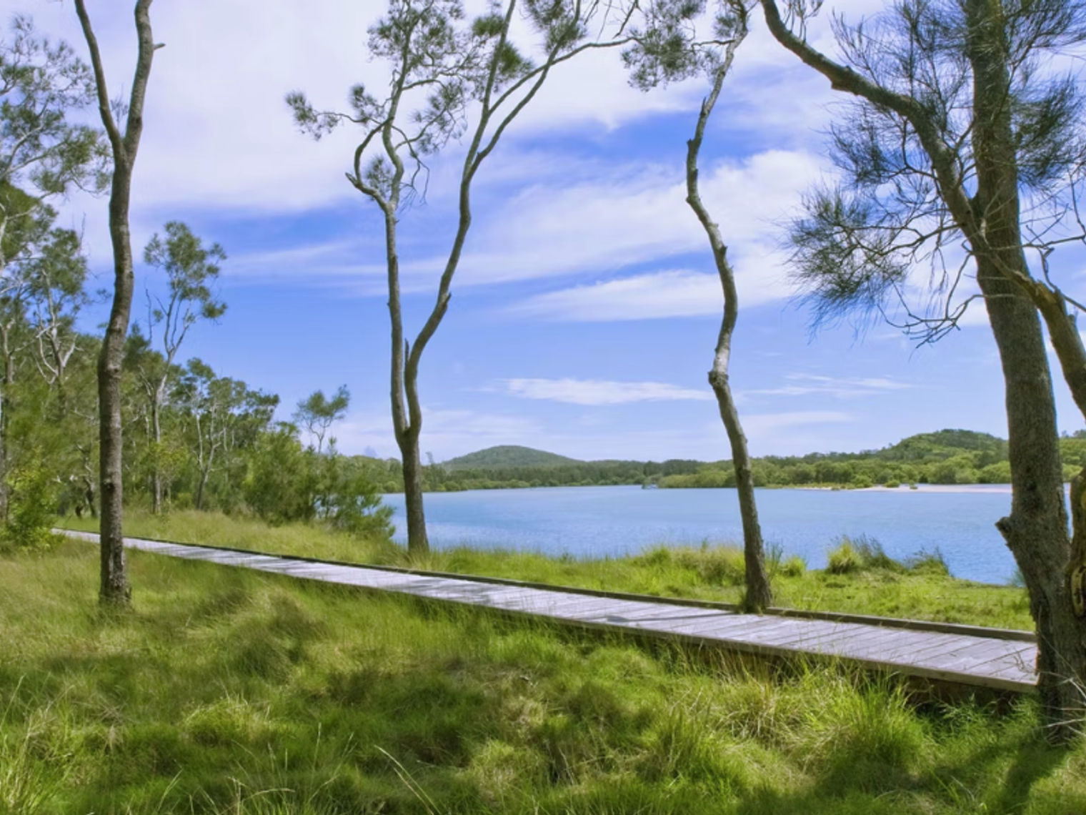 Australien New South Wales Coffs Harbour Wanderweg