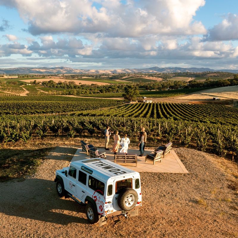Menschen, die in einem Weinberg im Barossa Valley in Australien im Stehen etwas trinken.