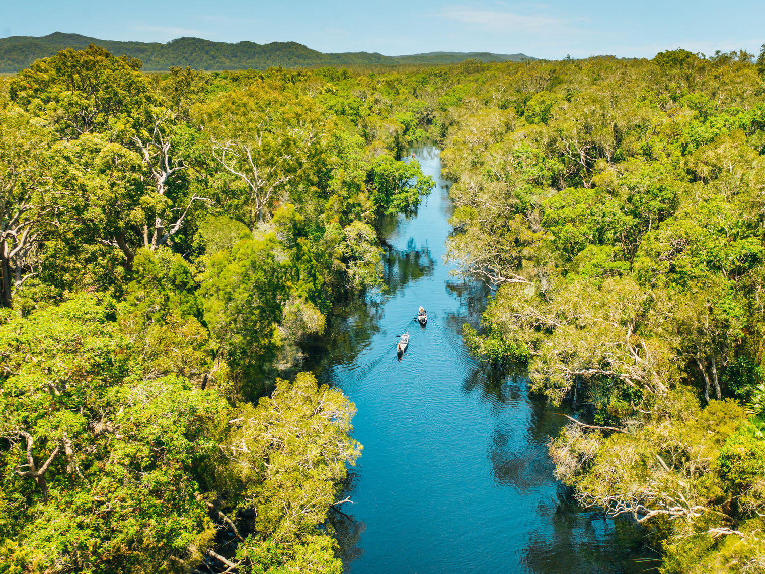 Twee mensen kajakken door de Noosa Everglades in Australië