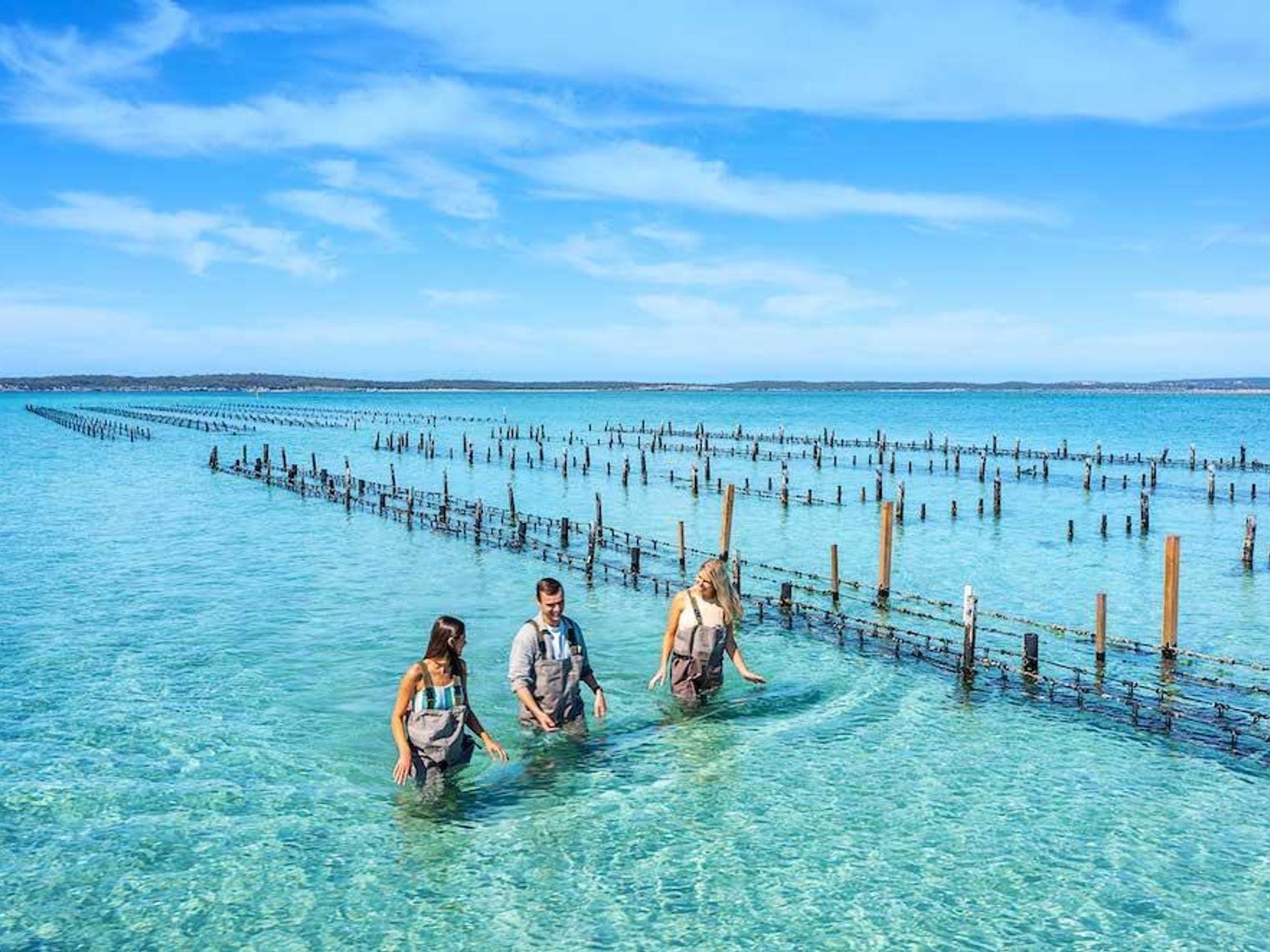 three people walking in the water of coffinbay, Australia