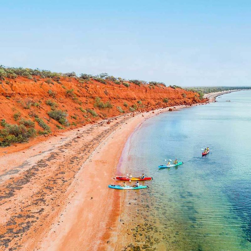 Kayakers paddle up the an orange beach in Francois Peron National Park in Western Australia