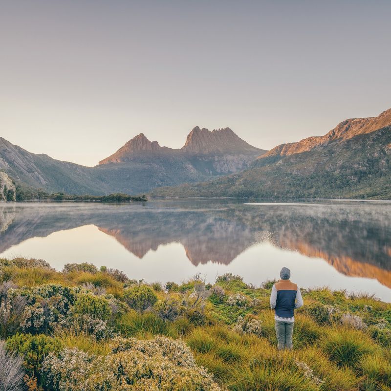 Der Cradle Mountain Australia spiegelt sich bei Sonnenaufgang in einem ruhigen See, an dessen Ufer ein Reisender mit Blick auf die Bergkette steht.