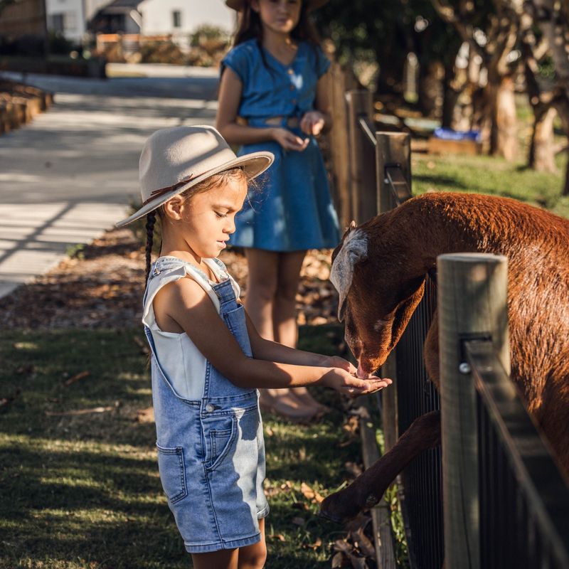Jong meisje met een zonnehoedje voert een geit met de hand door een hek op een Australische boerderij, terwijl een ander kind op de achtergrond toekijkt op een zonnige dag.