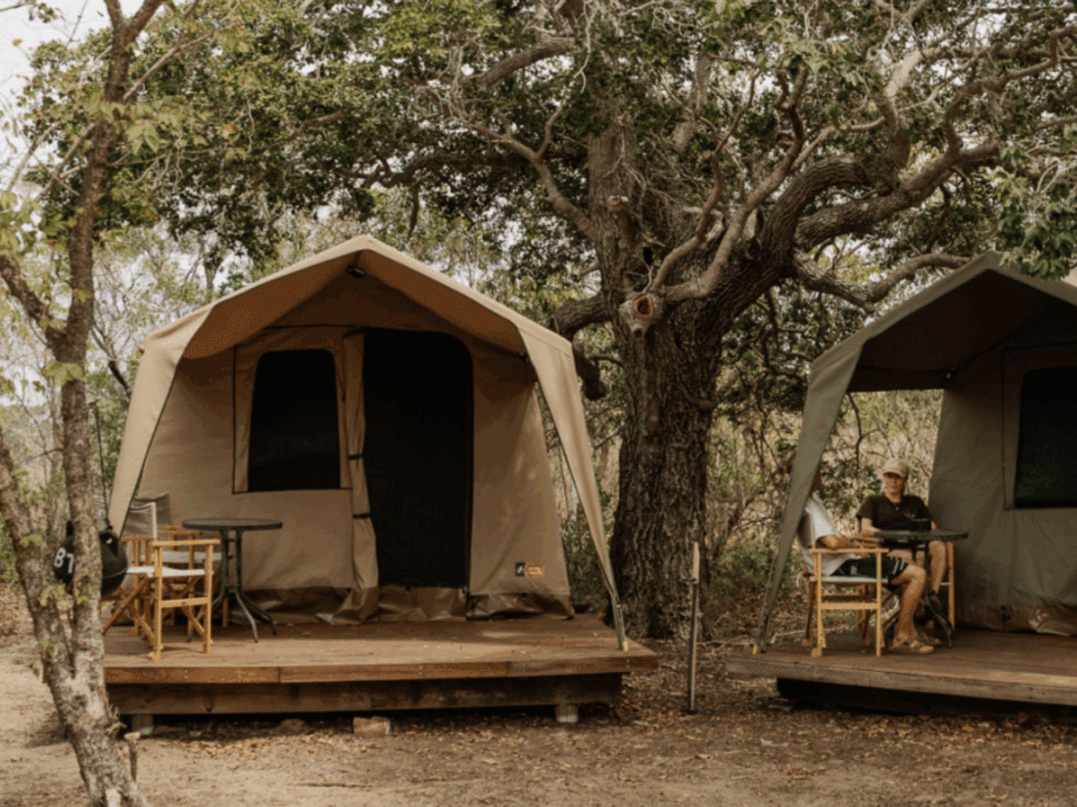 Two canvas safari tents on raised wooden platforms under large trees, with outdoor chairs and a person sitting at a small table.