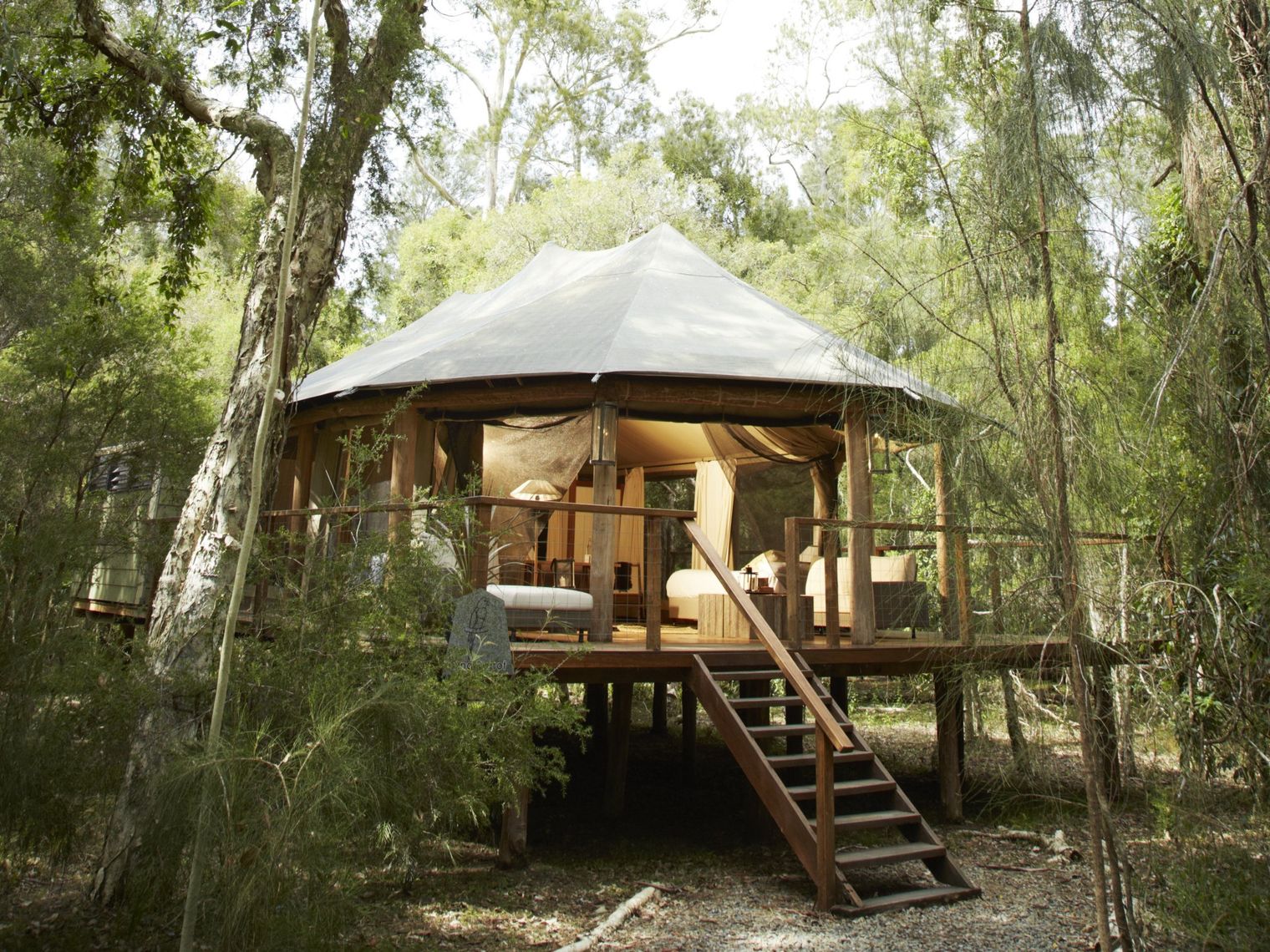 Elevated luxury glamping tent on a raised timber deck with wooden staircase, nestled among eucalyptus trees in the Australian bush, with warm glowing interiors visible through open canvas sides