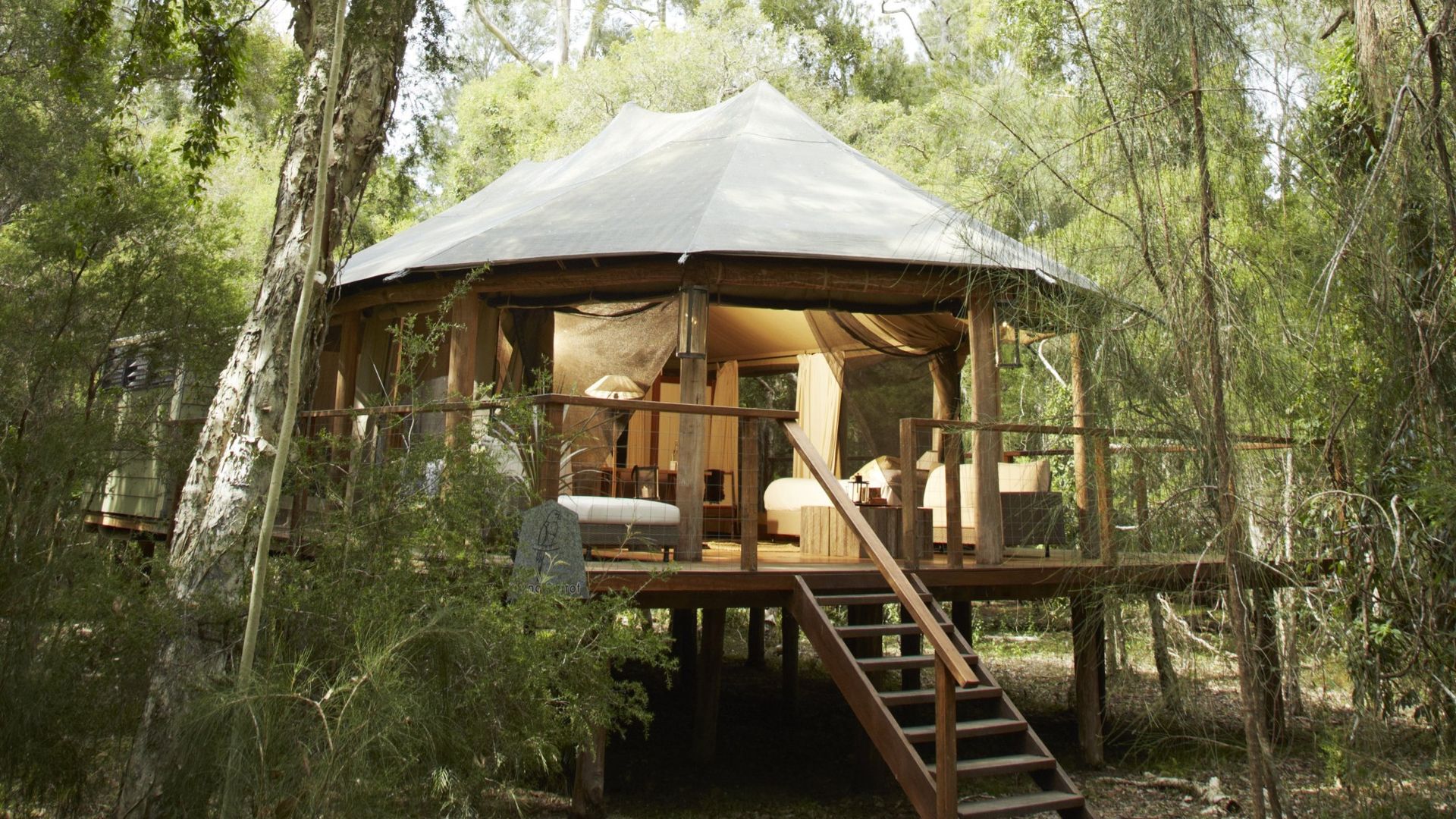 Erhöhtes Luxus-Glamping-Zelt auf einer erhöhten Holzterrasse mit Holztreppe, eingebettet zwischen Eukalyptusbäumen im australischen Busch, mit warm leuchtendem Innenraum durch die offenen Seiten des Zeltes
