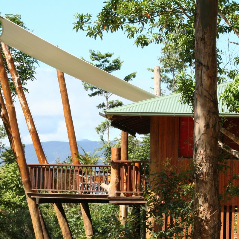 Verhoogde boomhut met terras rondom en zeildoek als schaduw, genesteld tussen weelderige regenwoudbomen met uitzicht op de bergen, unieke eco-accommodatie in Australië