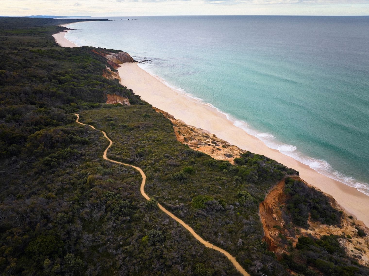 Australia nsw eden pinnacles loop walking track Credit Destination NSW