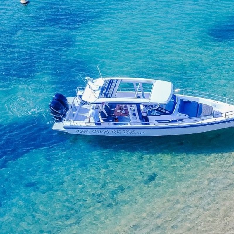 A small boat is docked by a beach in Sydney Harbour