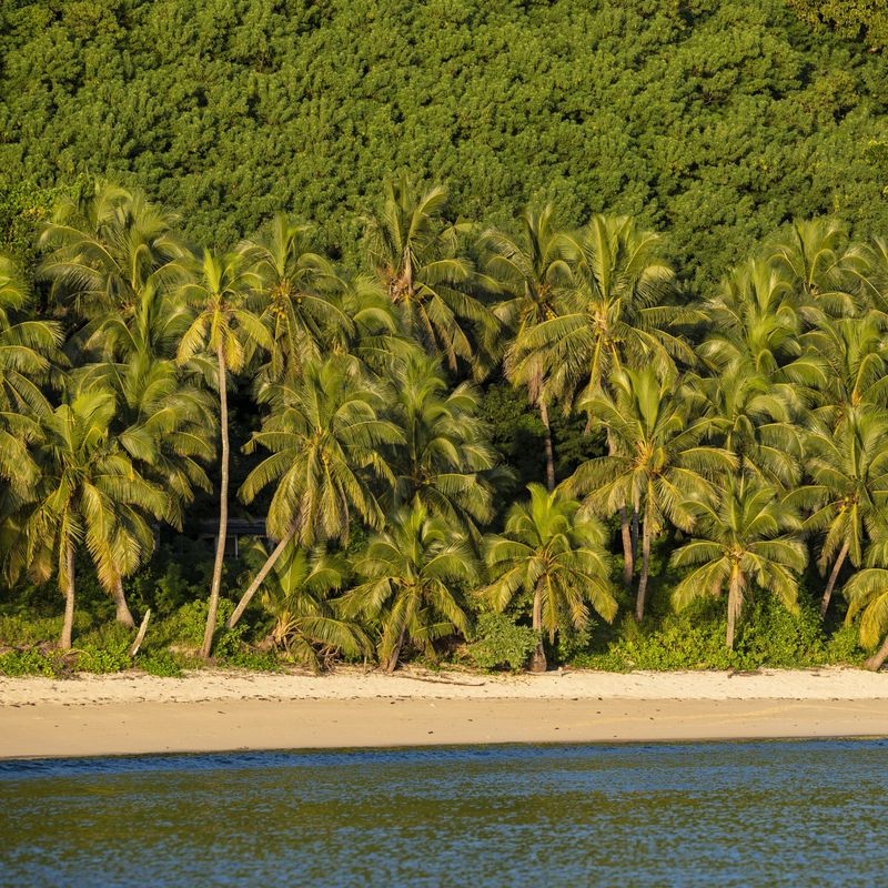 Strand auf Fidschi