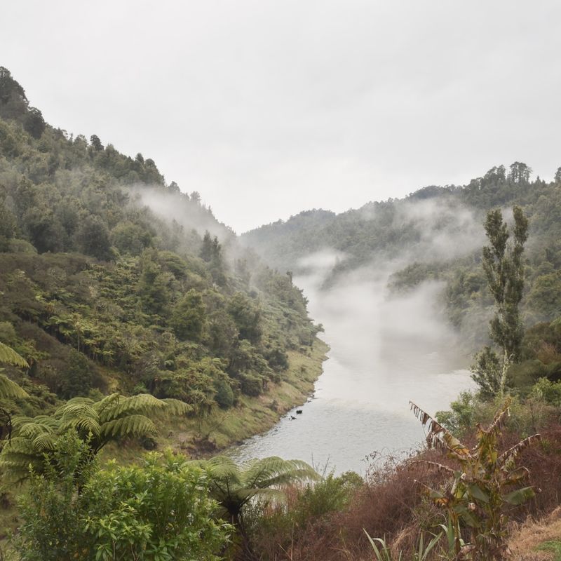 Uitzicht op de vallei op een bewolkte dag boven de Whanganui-rivier; er hangt ochtendmist boven de rivier en deze wordt omringd door natuur.