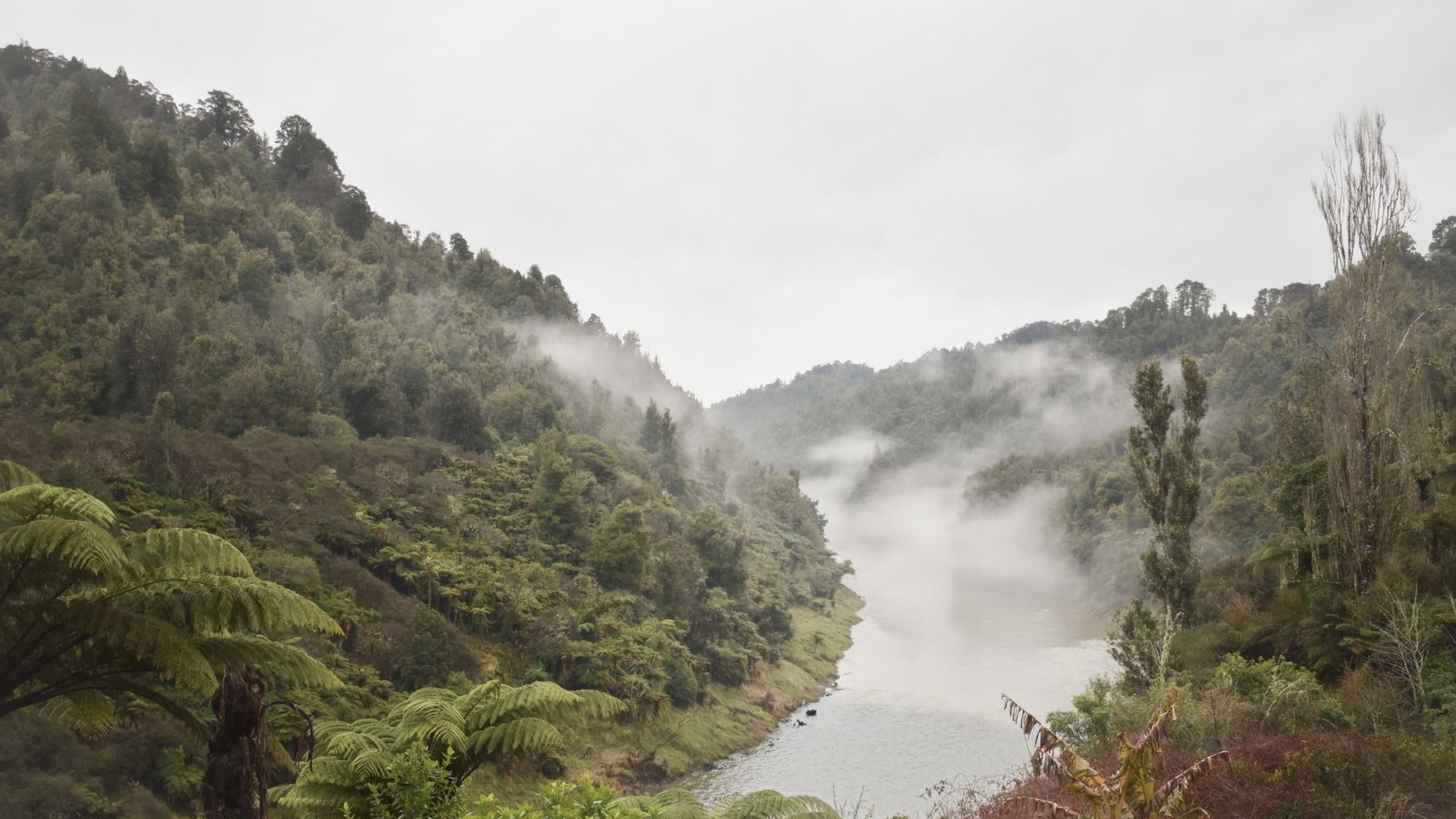 Uitzicht op de vallei op een bewolkte dag boven de Whanganui-rivier; er hangt ochtendmist boven de rivier en deze wordt omringd door natuur.