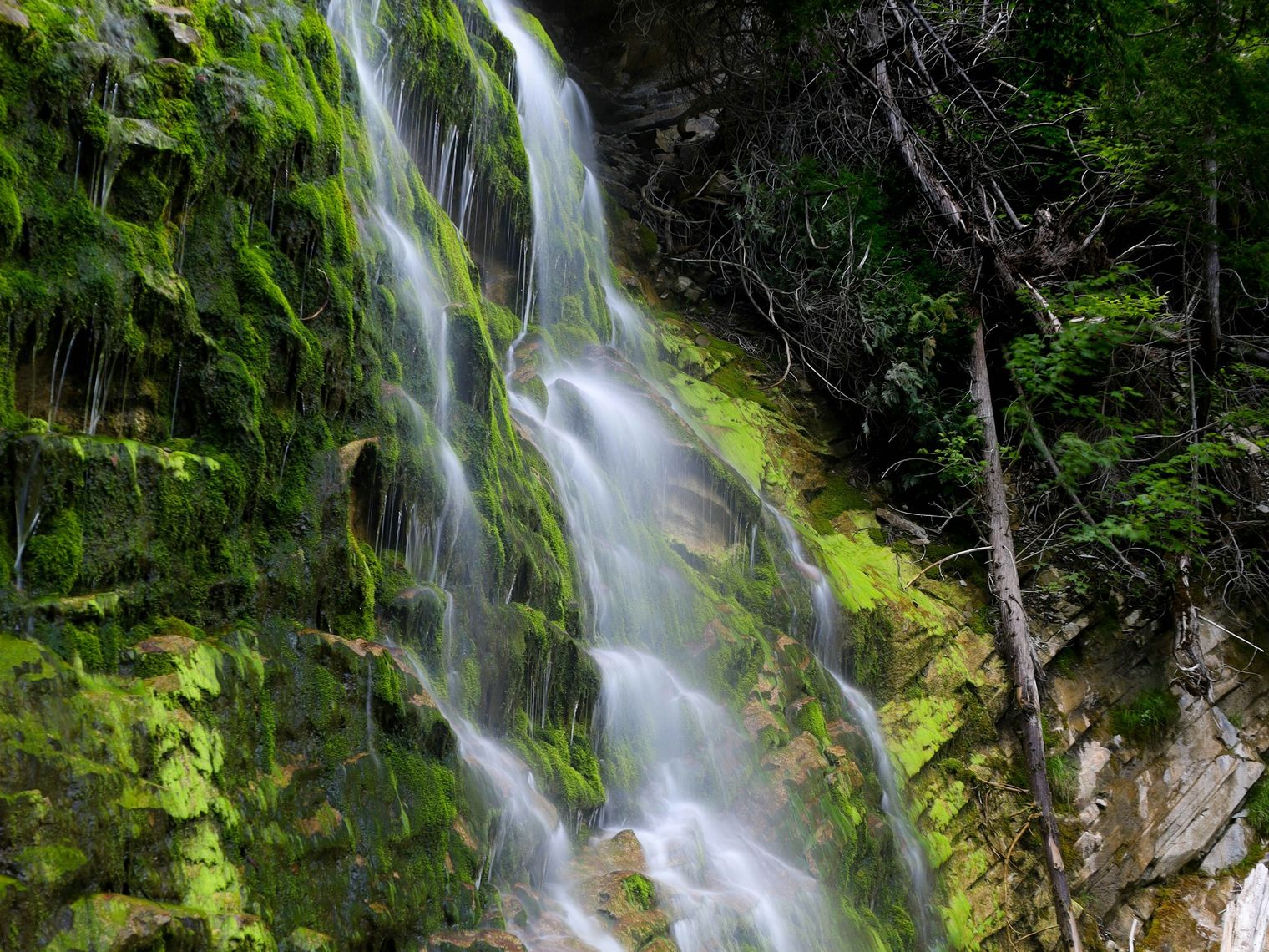 Can forillon national park waterfall
