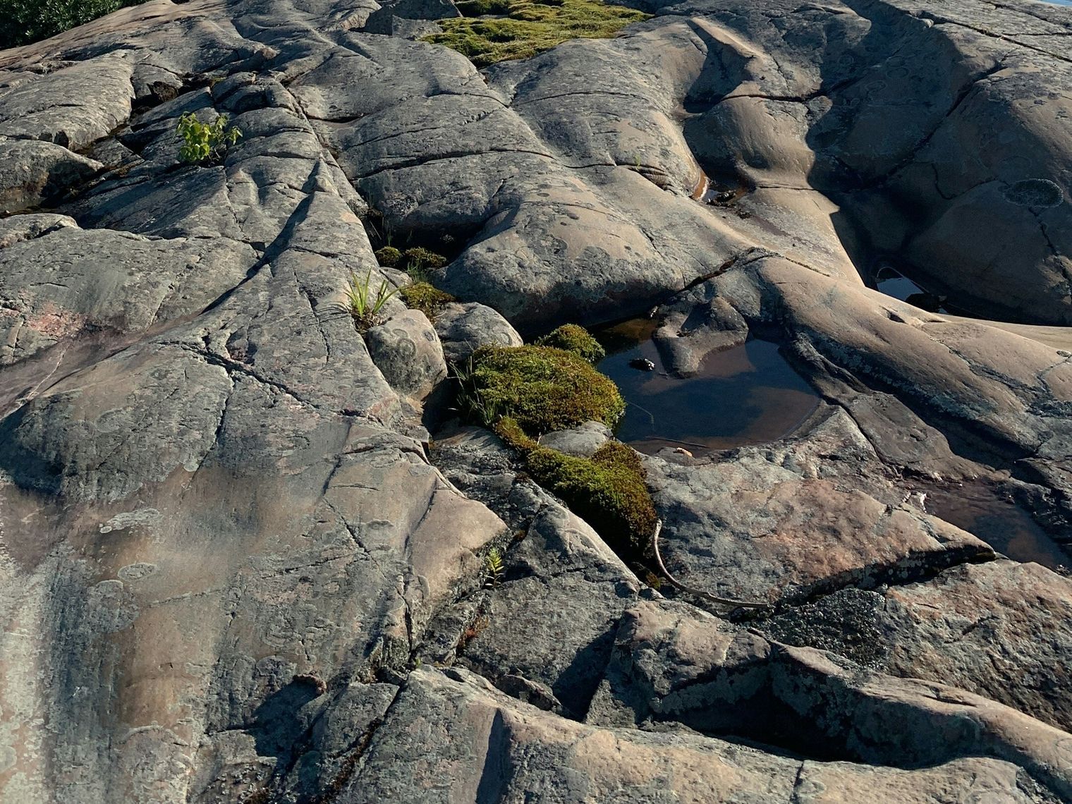 Can ontario killarney provincial park
