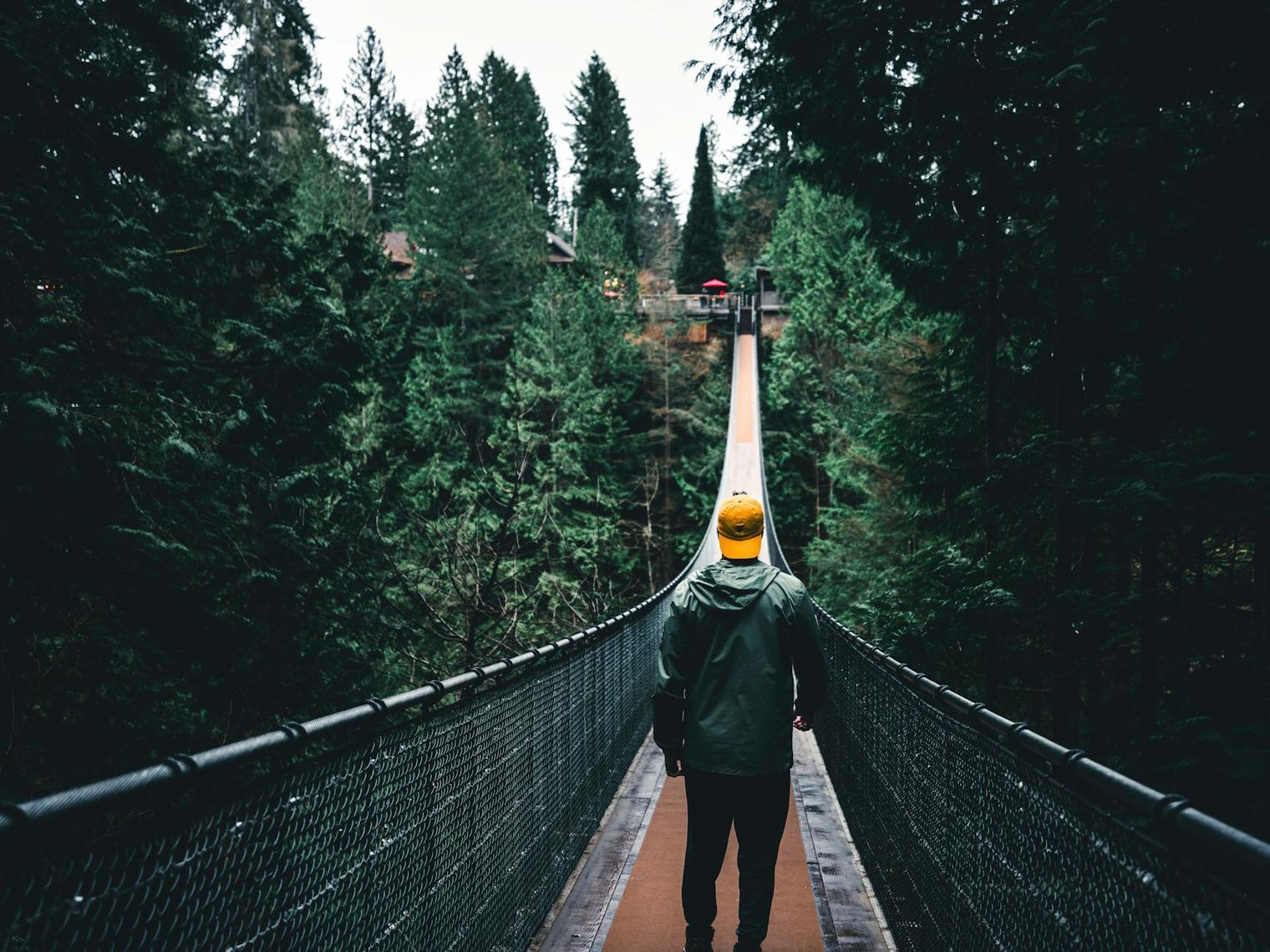 Can vancouver capilano suspension bridge