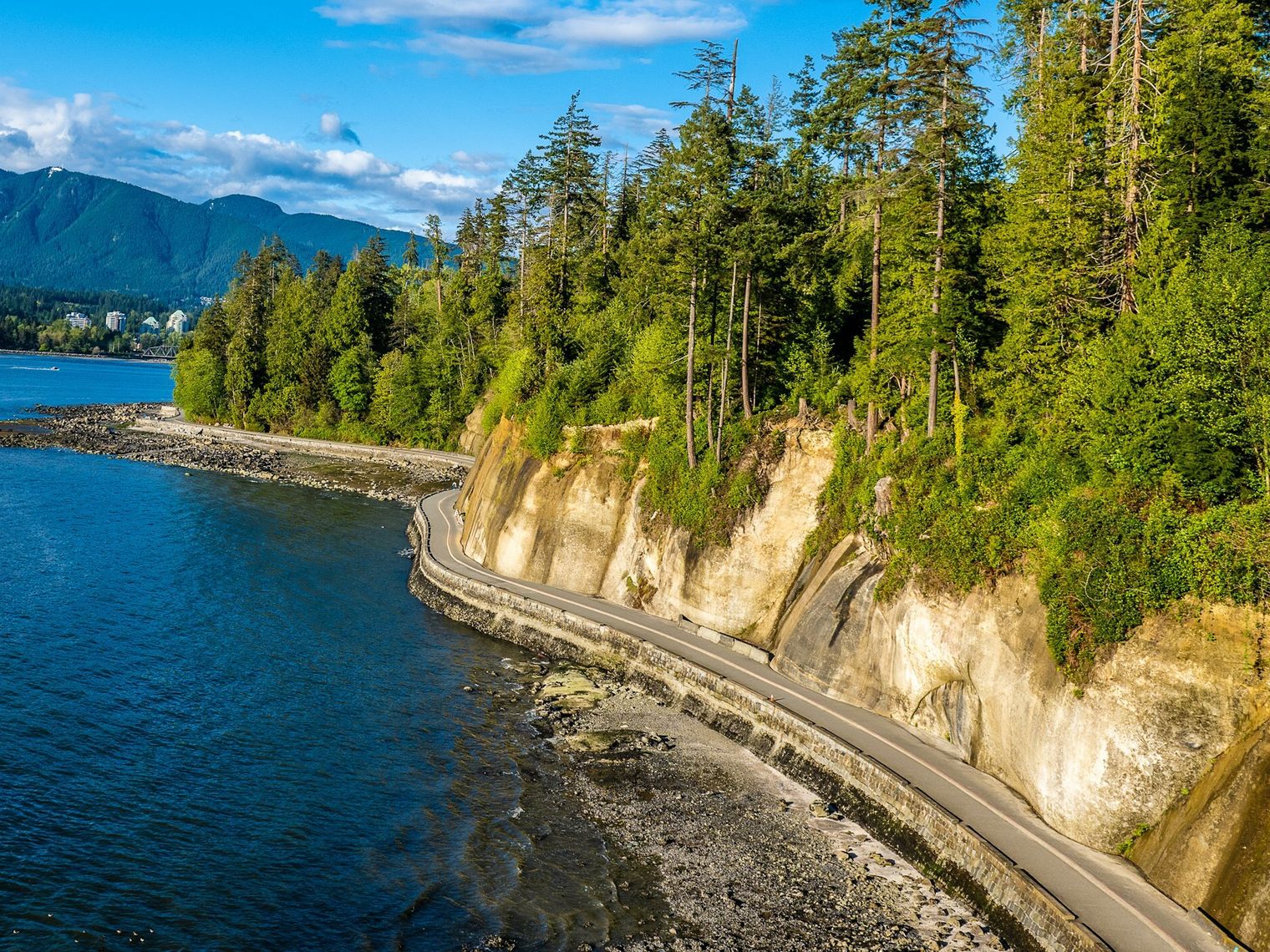 Can vancouver stanley park view