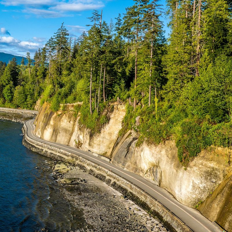 Can vancouver stanley park view