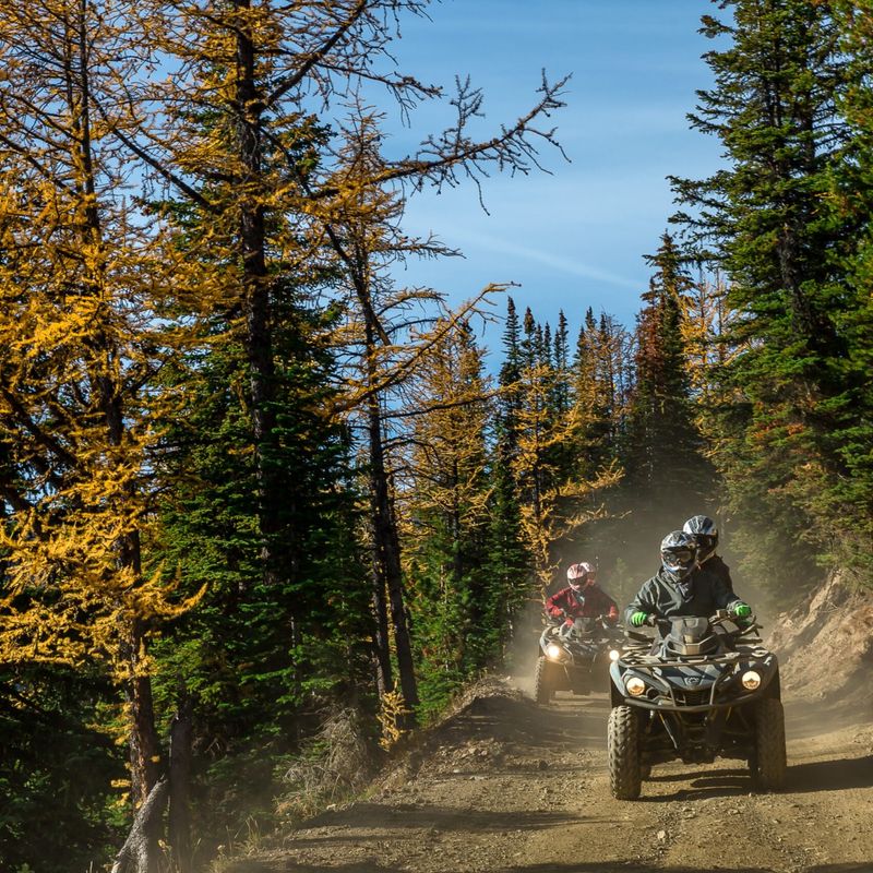 Zwei Quads fahren Weg an Hang durch Nadelwald in Kanada