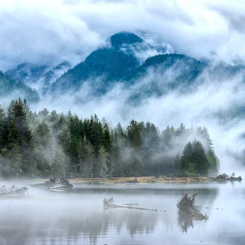 Nebel, der durch die immergrünen Wälder und Berge um Port Renfrew an der Küste von British Columbia, Kanada, zieht, wobei sich das stille Wasser in der Landschaft spiegelt.