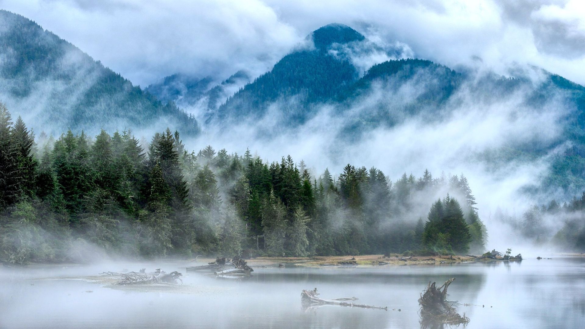 Nebel, der durch die immergrünen Wälder und Berge um Port Renfrew an der Küste von British Columbia, Kanada, zieht, wobei sich das stille Wasser in der Landschaft spiegelt.