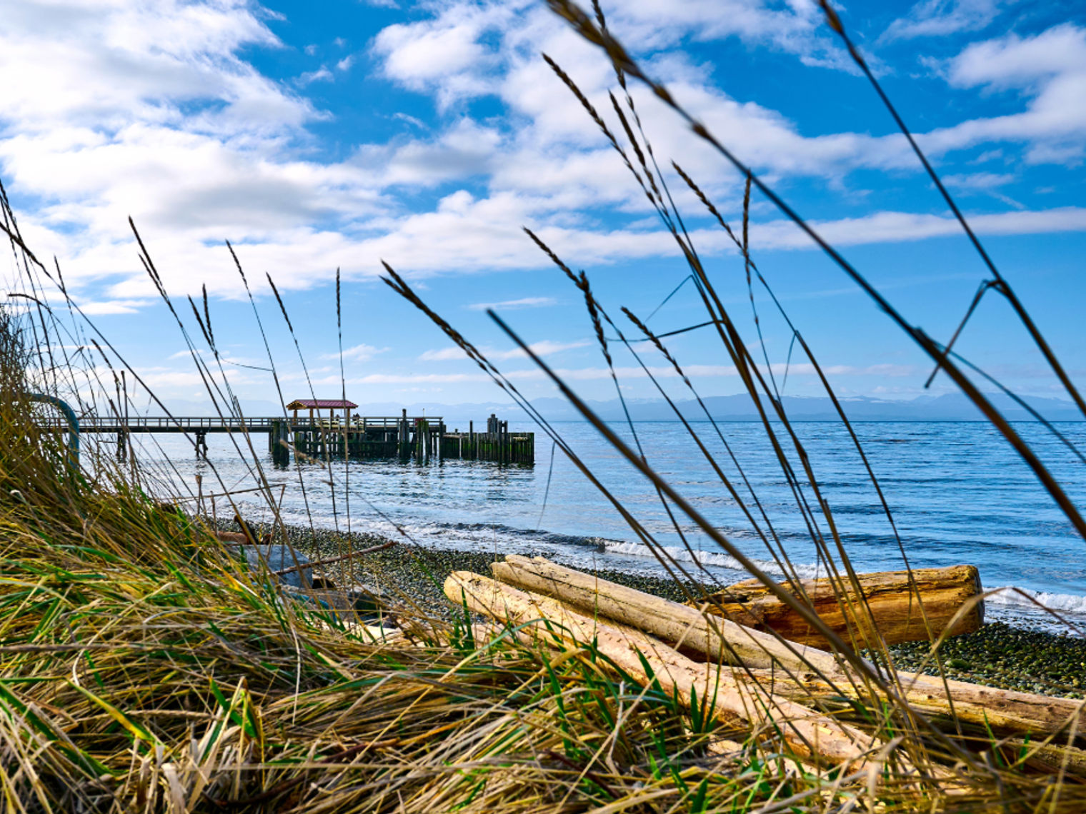 Davis bay2