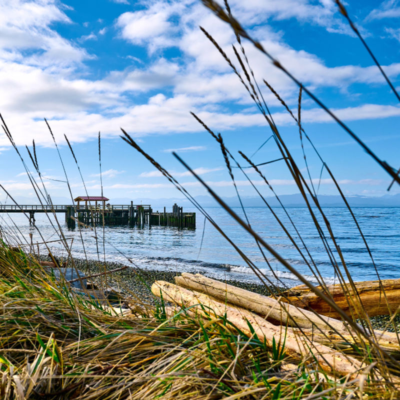 Davis bay2