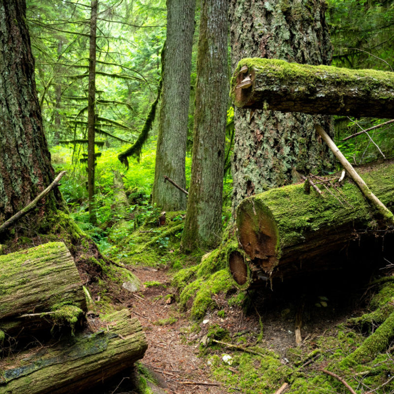 Roberts creek 3