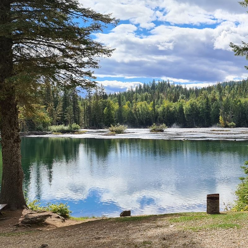 Uitzicht op Clearwater Lake in Wells Gray Provinicial Park met de weerspiegeling van de bomen in het rustige water
