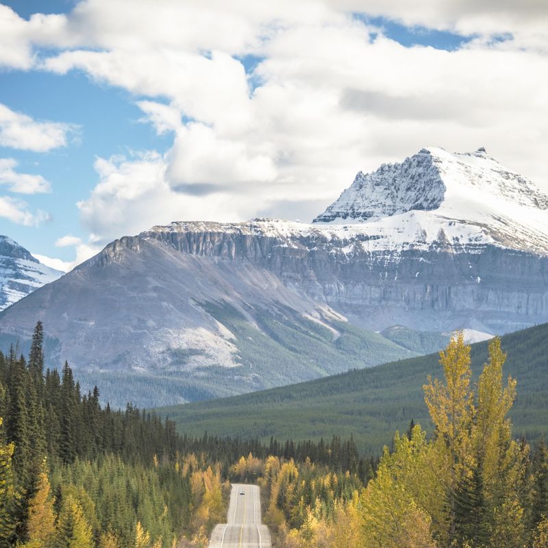 Ein Blick auf den Bow Valley Parkway, der zu schneebedeckten Bergen führt und von Wäldern gesäumt ist