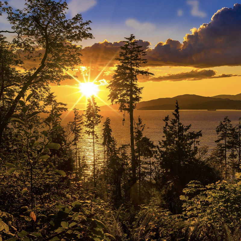 Een wandelaar staat in een kustbos en kijkt naar een schitterende gouden zonsondergang boven het water en de bergachtige eilanden van Vancouver Island, British Columbia, Canada
