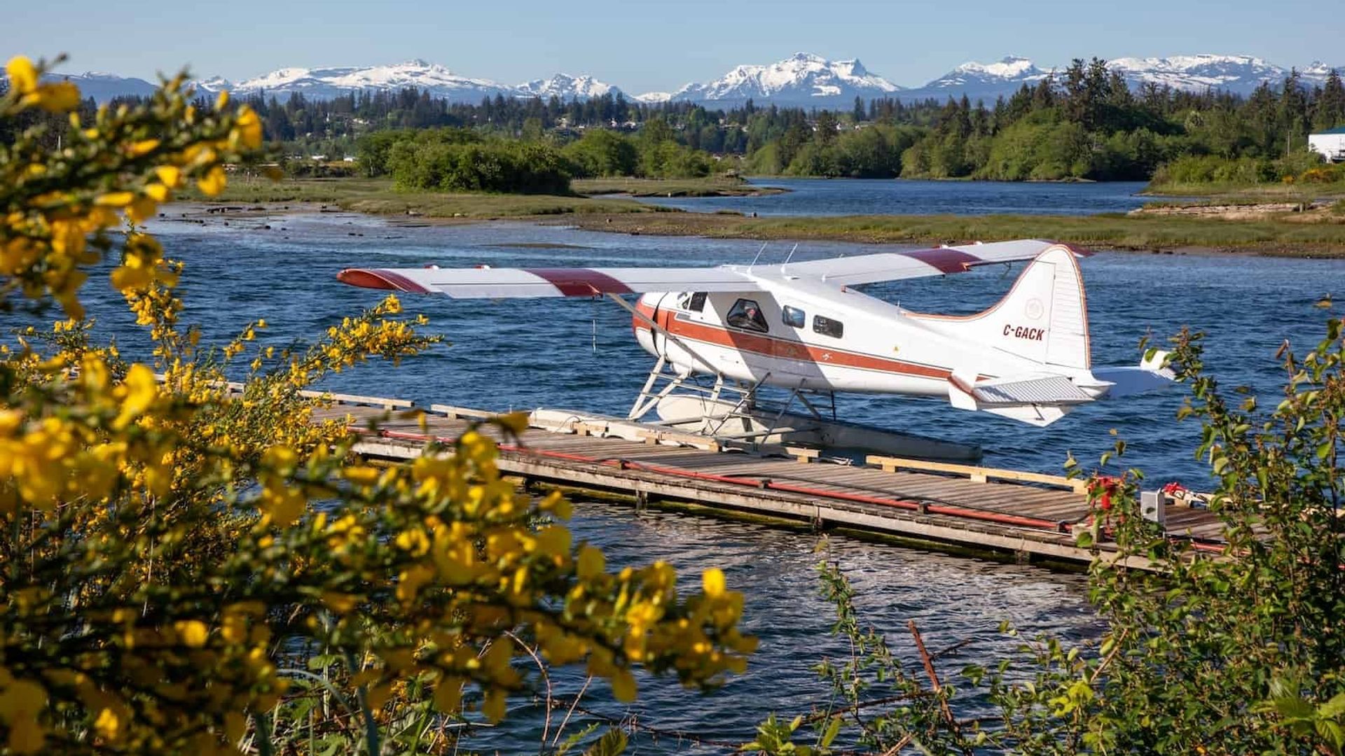 A small seaplane is docked on Vancouver Island with snowy mountains in the background and trees surrounding