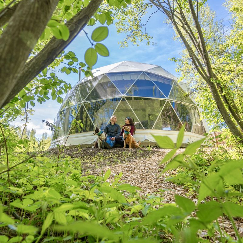 Twee mensen zitten voor een glamping-tent in het bos.