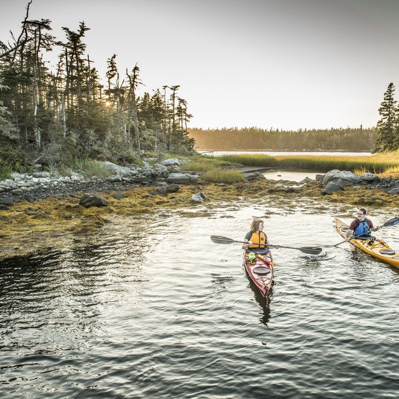 A couple in single kayaks smiling at each other, out on the water with trees around and behind in Canada
