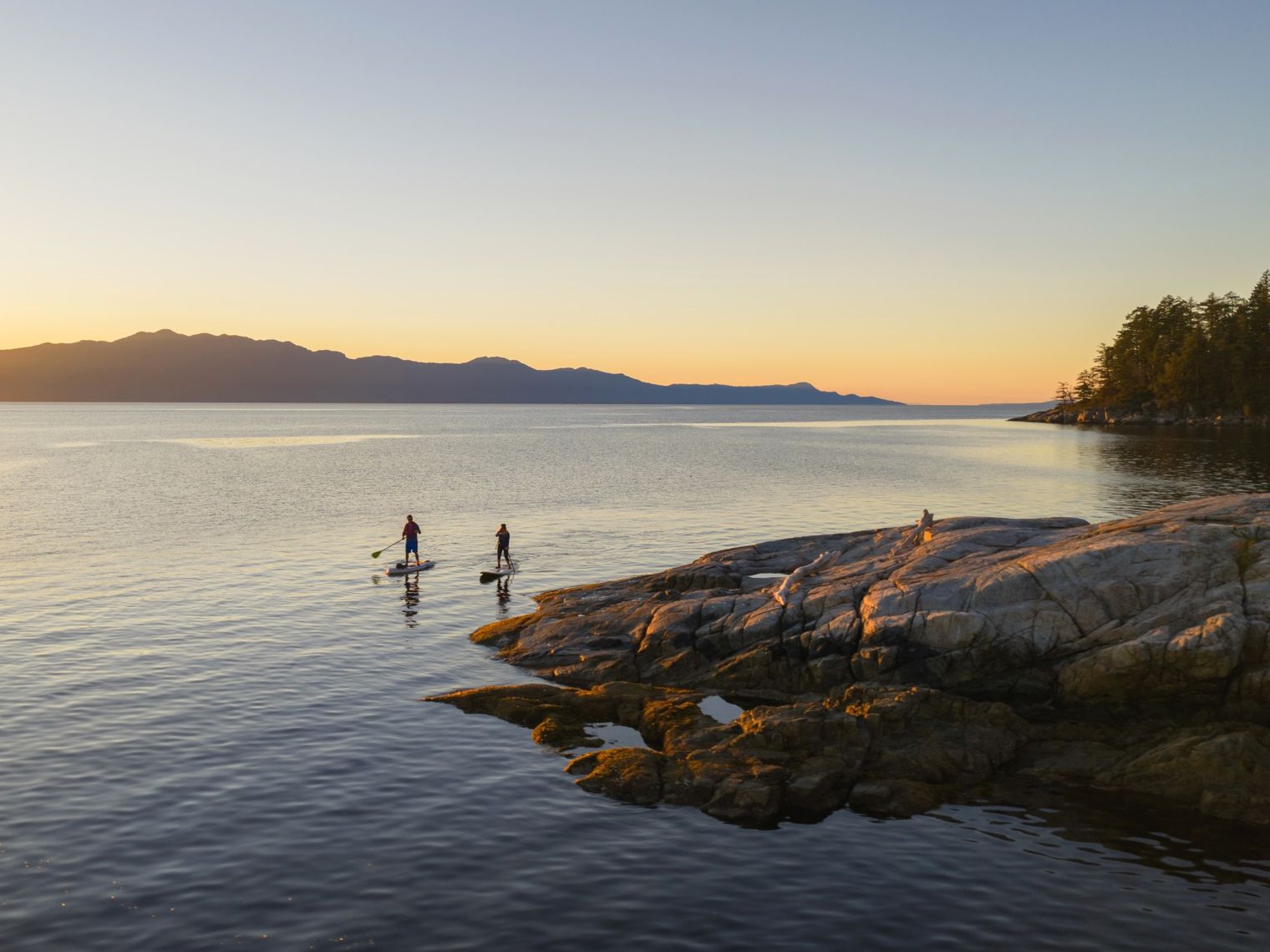 Two people stand-up paddle boarding, Sunshine Coast