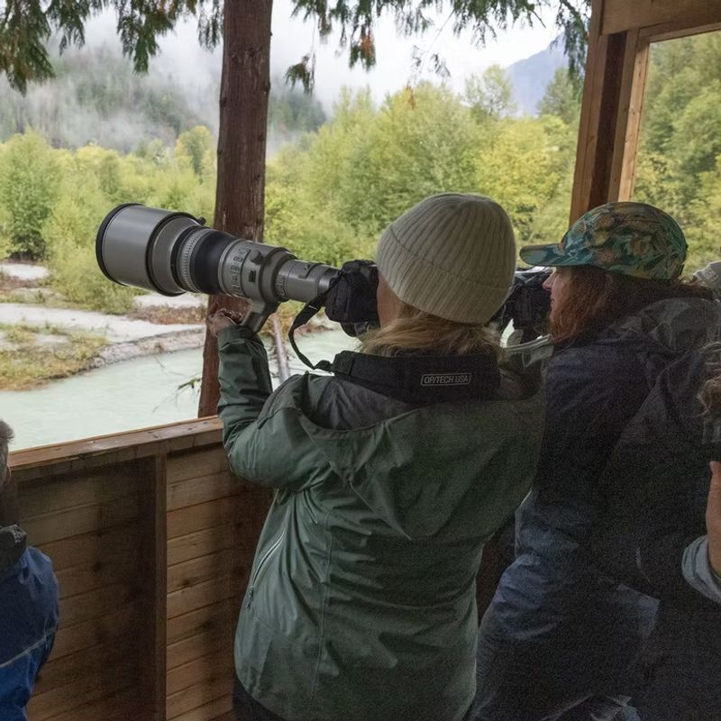 A group of photographers take photos of wildlife from a wooden viewing platform in Toba Inlet, Vancouver Island