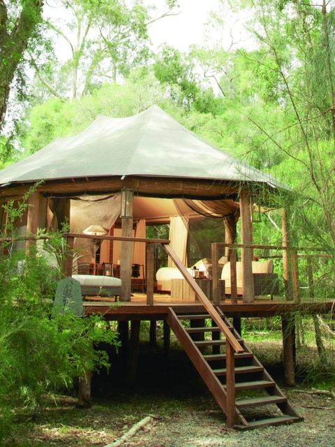 Luxuriöses Zelt im Safaristil auf einem erhöhten Holzdeck, umgeben von üppig grünem Wald und Bäumen.