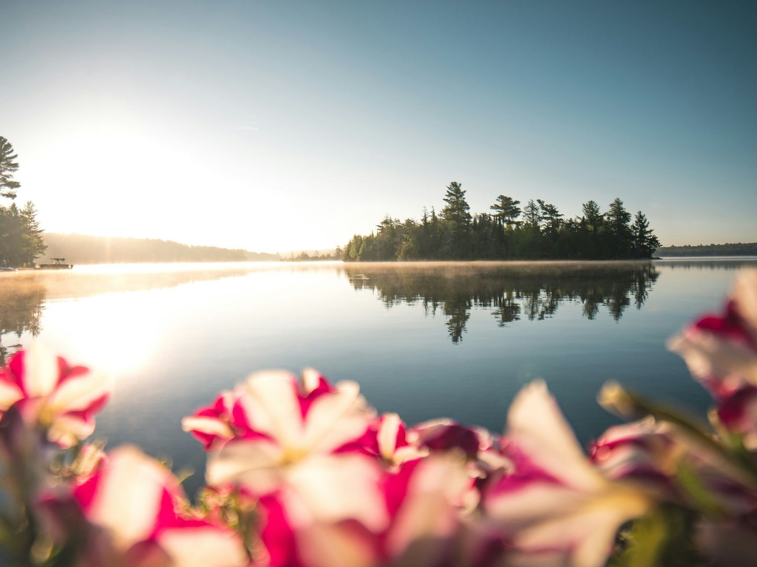 Ost Kanada Ontario Frühling