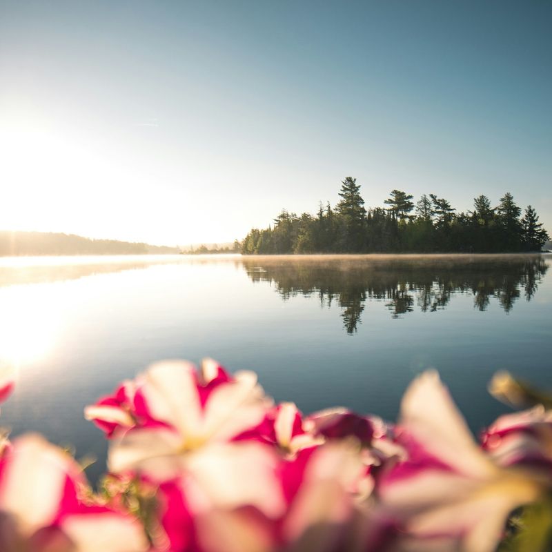 Ost Kanada Ontario Frühling