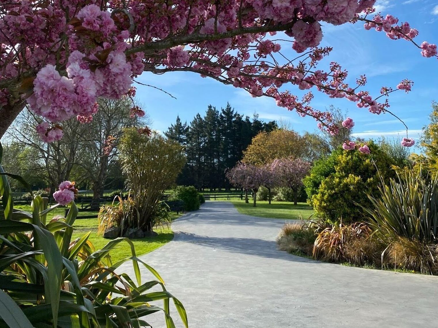 Elternzeit christchurch