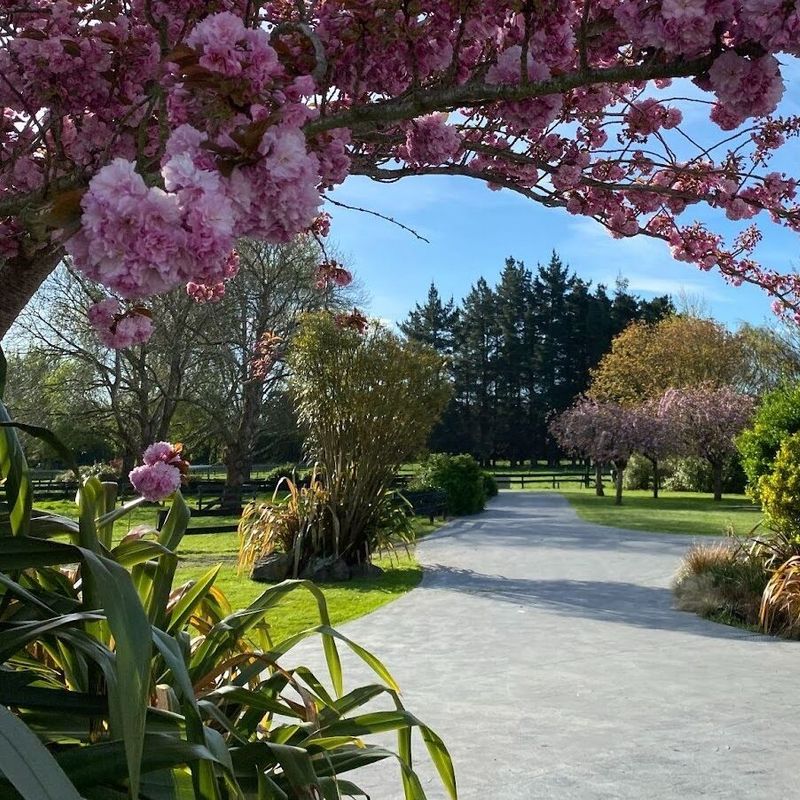 Tuinen in Christchurch
