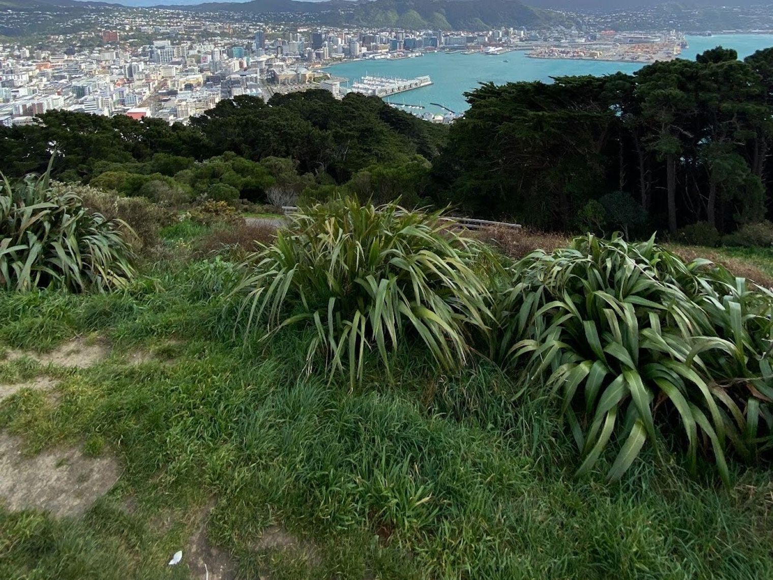 Elternzeit wellington2