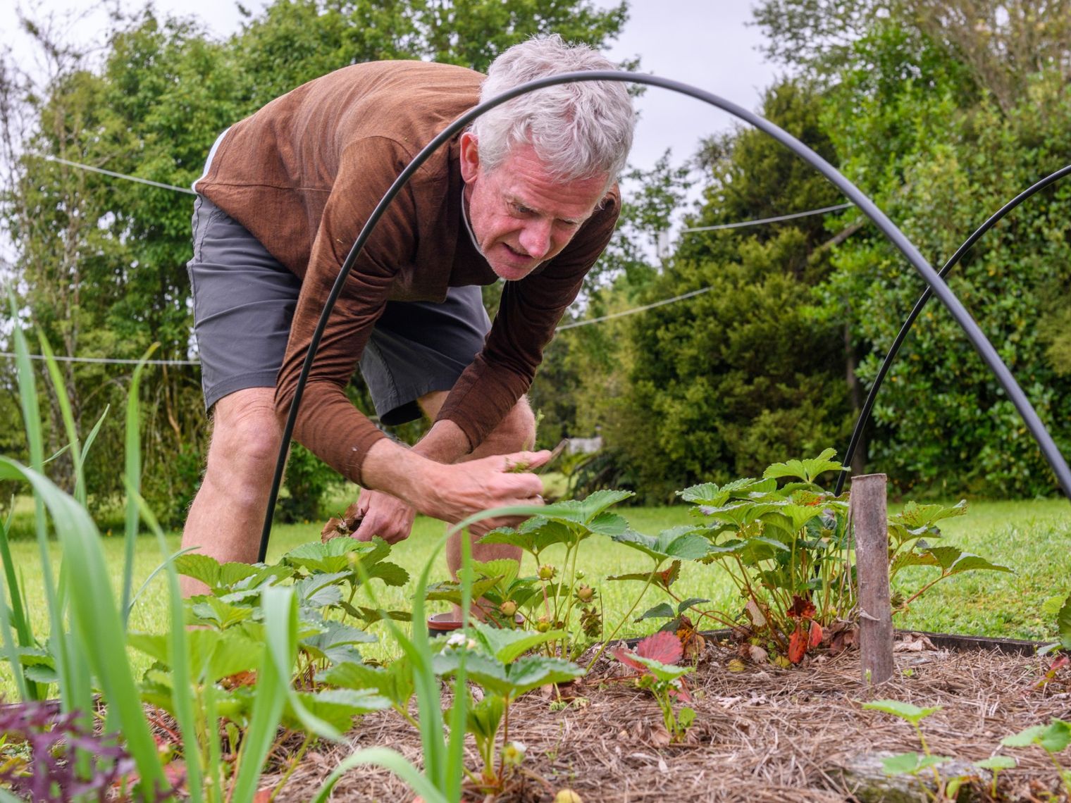 Iemand die in een moestuin werkt
