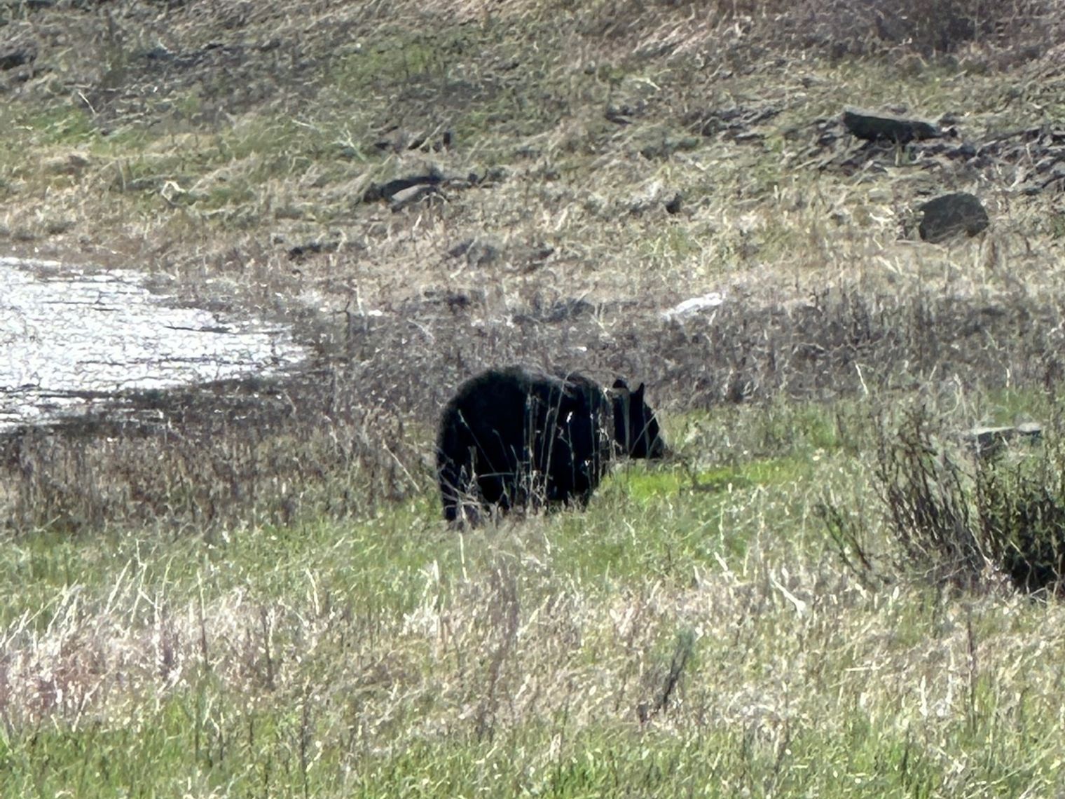 Image12